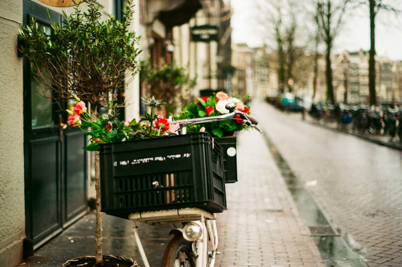 Амстердам Forever. Весенний парк тюльпанов… гарантировано!