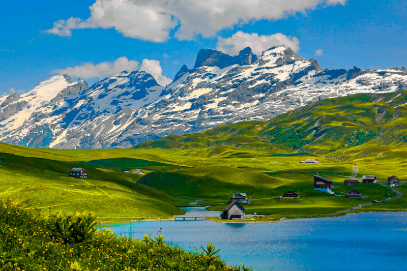 Швейцарські Альпи, весна на острові Майнау... Гарантовано їдемо насолоджуватись красою!