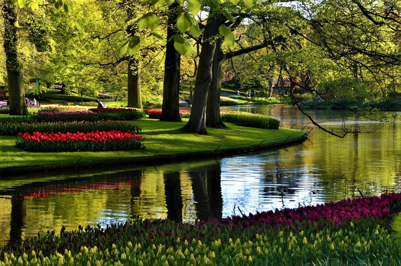 10.04.2024 – Пикник в Амстердаме – гарантированно едем в Парк Тюльпанов