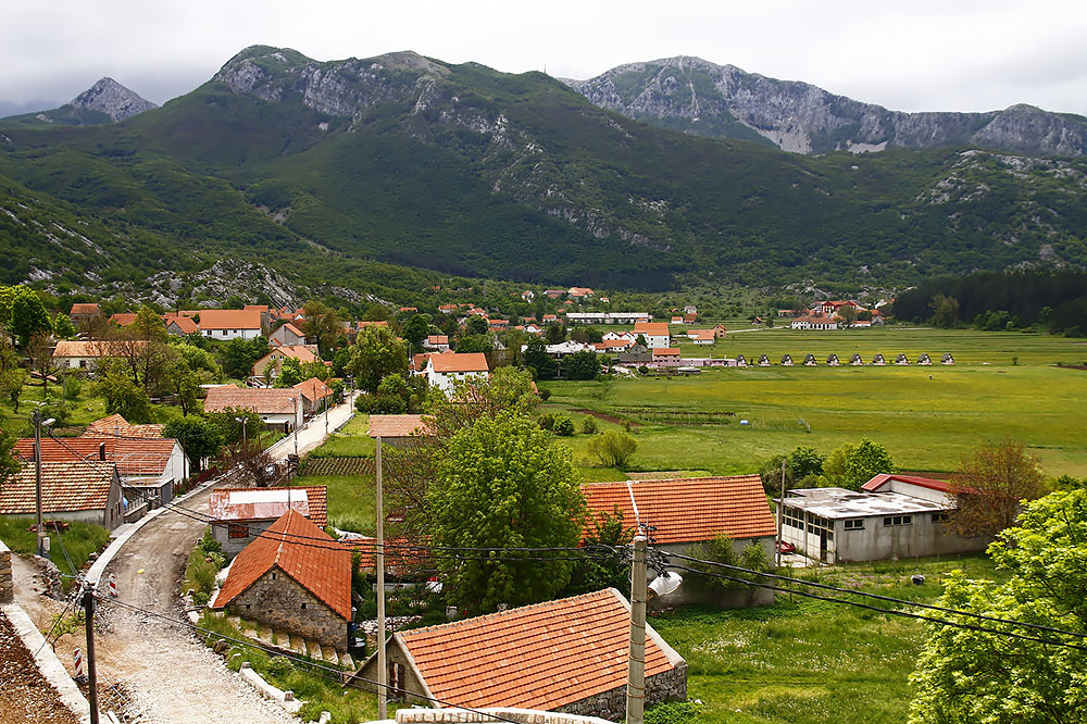 Негуши, Чорногорія