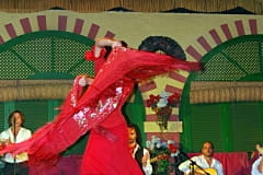 Фламенко шоу, Испания